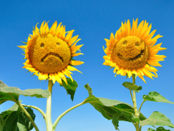 Беременный юмор