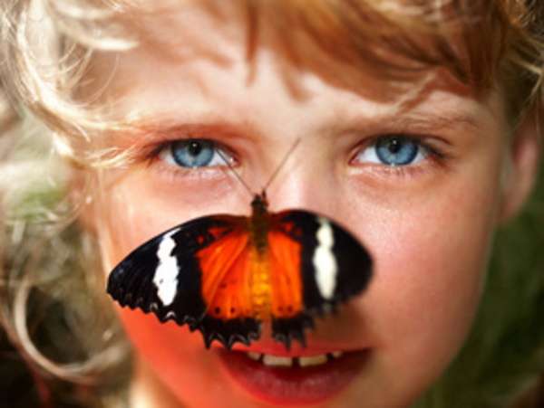 Маугли и кусочки нашей жизни. Часть 1