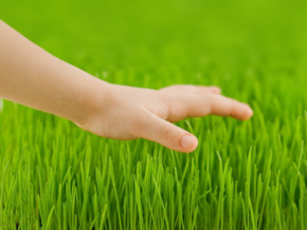 Детский аутизм: как практически помочь больному ребенку