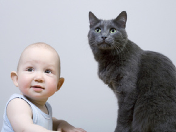 Школа выживания мамы или как это бывает у других