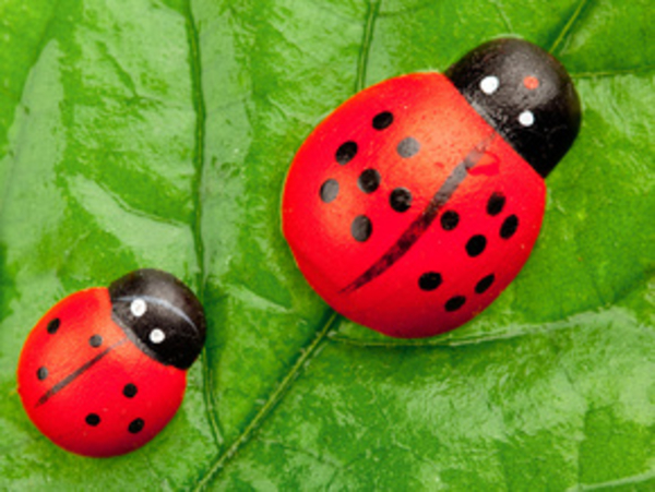 Дорога к горшку – мамы, спокойствие!