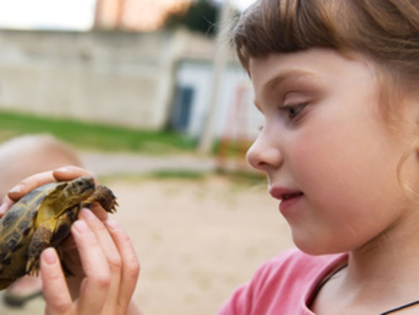 Как воспитывать детей индиго?