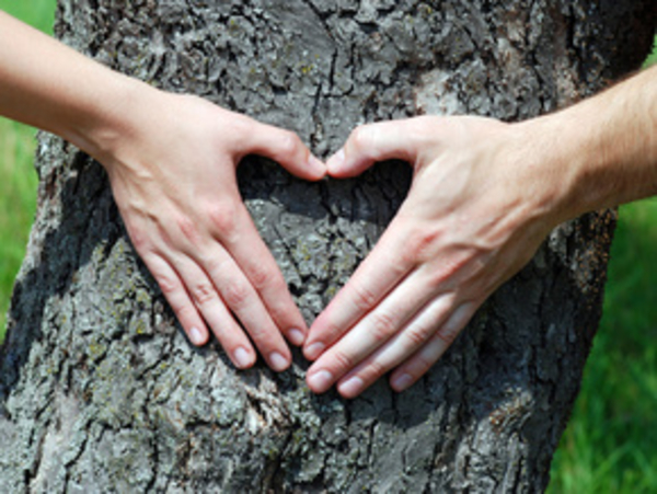 Ищем свою вторую половинку