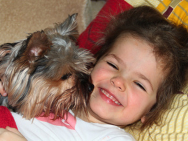 Какие домашние животные являются опасными для детей