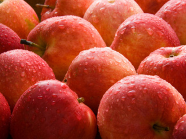 Сбалансированное питание – основа здоровья ребенка