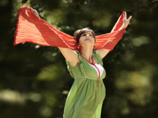 Полеты во время беременности