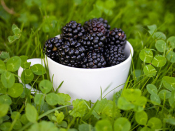 Антиварикозная диета