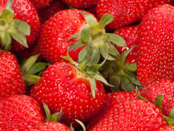 4 важных источника антиоксидантов