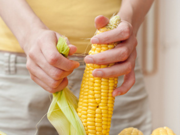 Кукуруза - путь к здоровью