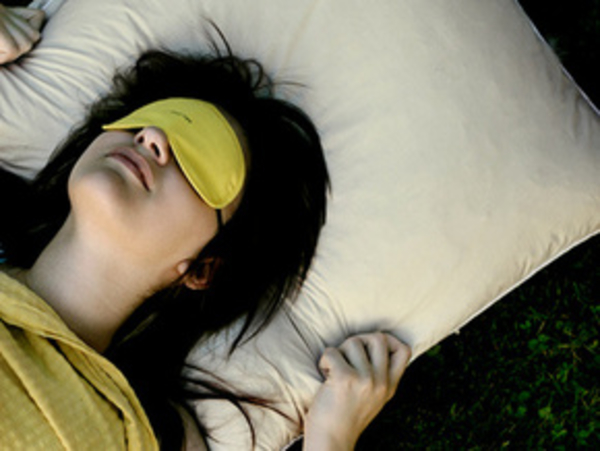 Собаки лечат от бессонницы