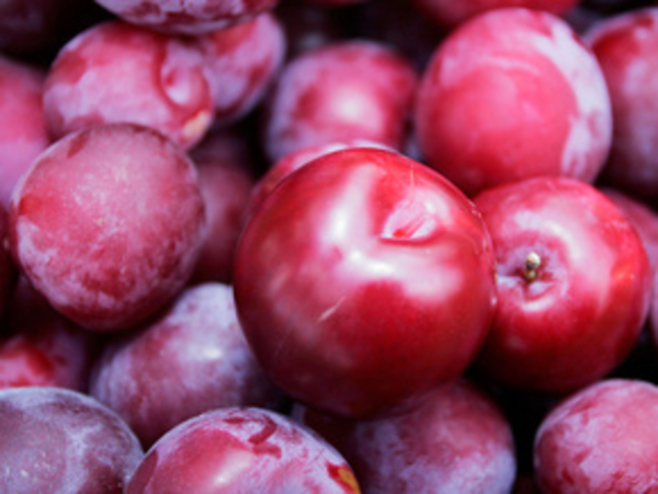 Персики и сливы лечат рак