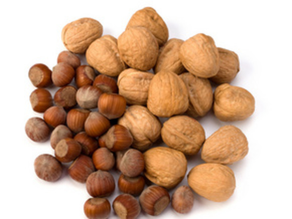 В Швейцарии открыли новый способ продлить жизнь