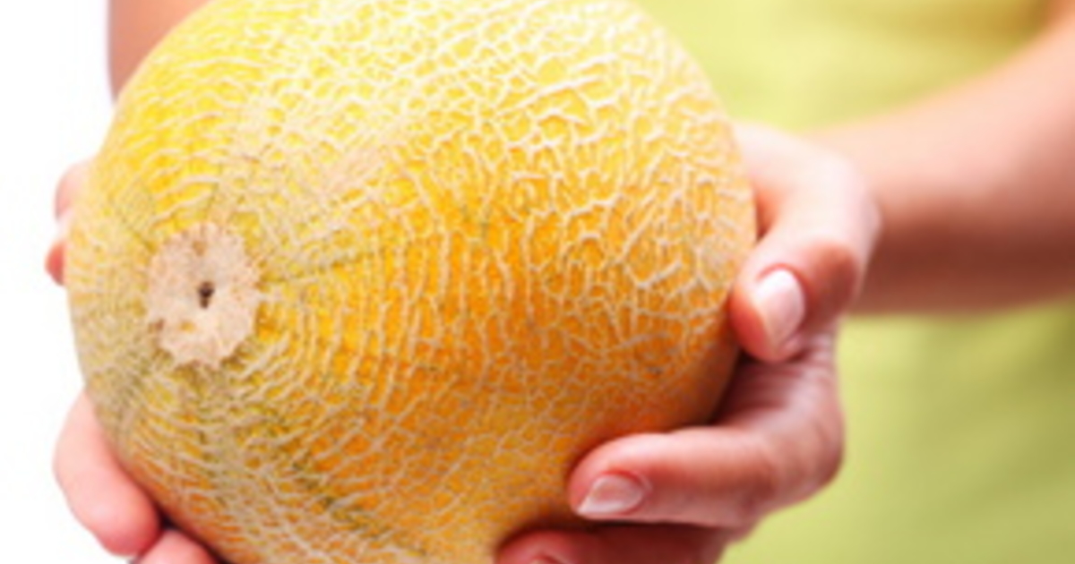 Как понять что дыня созрела. Дыня afghan honeydew. Дыня спринт. Дыня в огороде. Спелая дыня фото на прозрачном фоне.