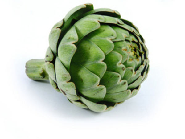 Все об артишоке