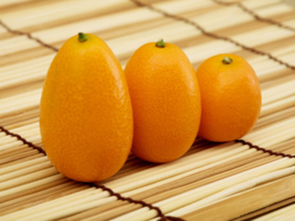 Кумкват - что это за фрукт и с чем его едят?