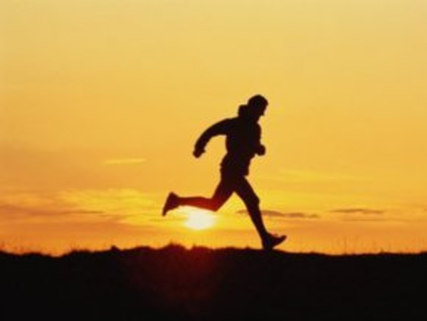 Бег полезен для мозга