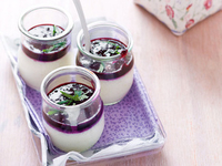 Йогуртово-черничная панна кота