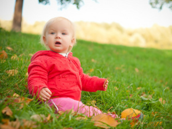 Вкусовые предпочтения малыша