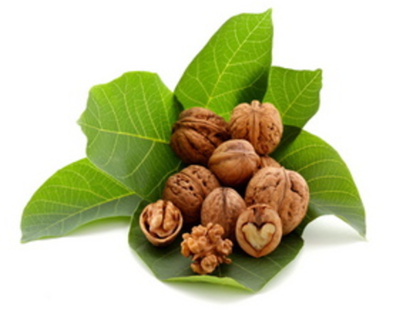 Польза орехов под сомнением?