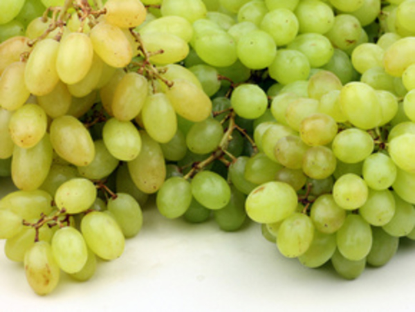 Опасный виноград