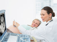 Ультразвуковое сканирование мальформаций.