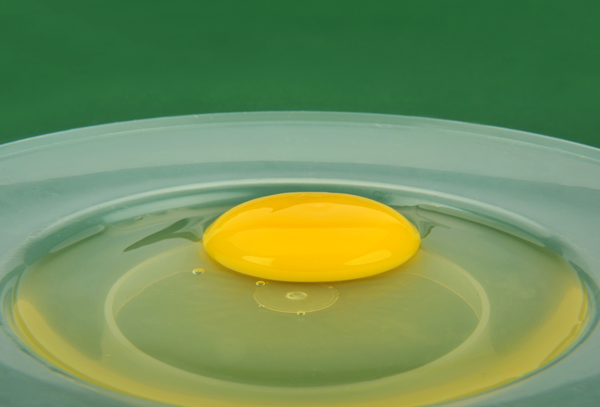 Яичный желток небезопасен