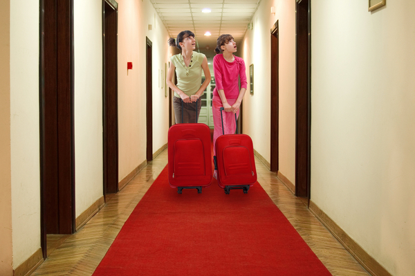 В Швеции создается сеть порно-отелей