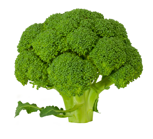 Брокколи благоприятно влияет на желудок