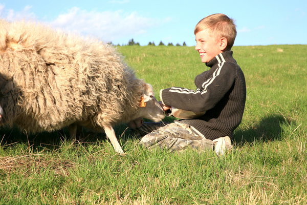 Индиго сочетают женские и мужские качества