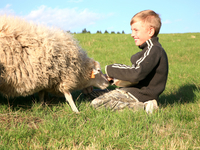 Индиго сочетают женские и мужские качества