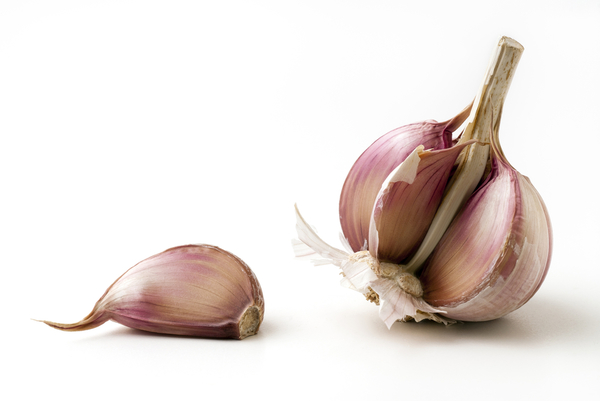 Гипертоникам поможет чеснок