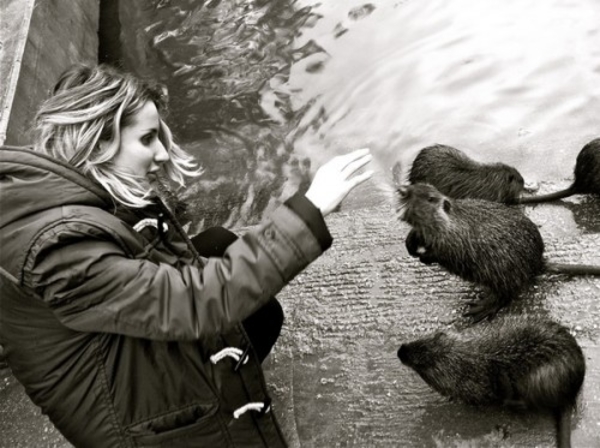 LOBODA отдохнула в Израиле