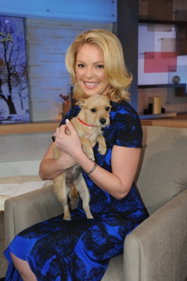 Кэтрин Хейгл / Katherine Heigl