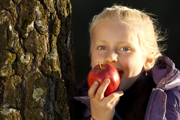 Давать ли ребенку перекусывать в течение дня