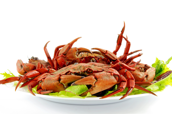 Цинк предотвращает появление простуды