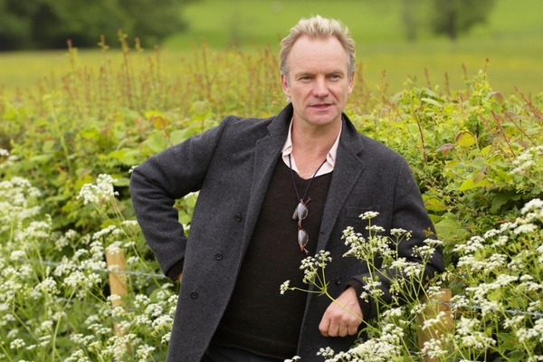 Сын Стинга поедет на Евровидение?