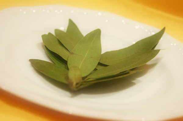 Как используют лавровый лист в кулинарии?