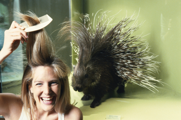 Правильный уход за расческами