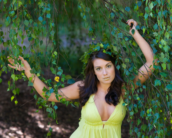 В чем польза березового сока