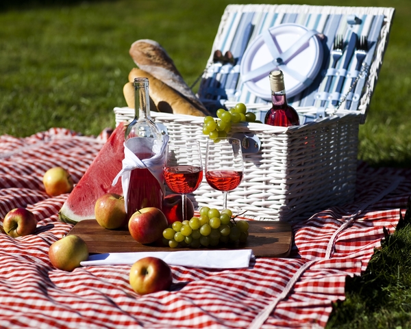 Пикники на природе: как правильно перевозить еду