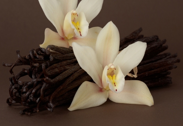 Ваниль: душистая пряность