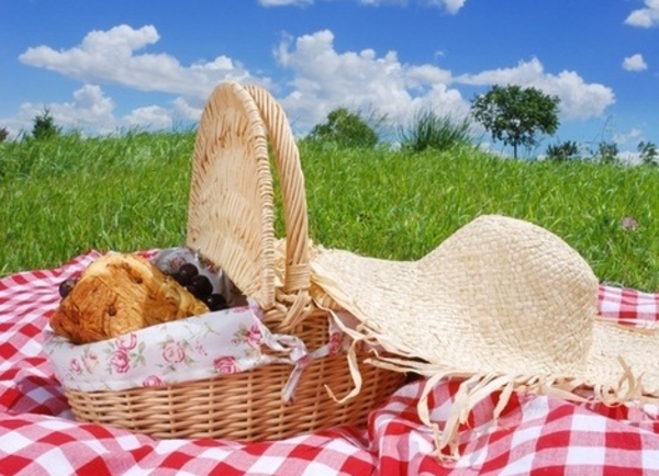Планируем идеальный пикник