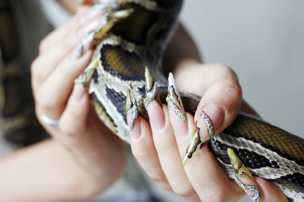 Стильный тренд: маникюр из змеиной кожи