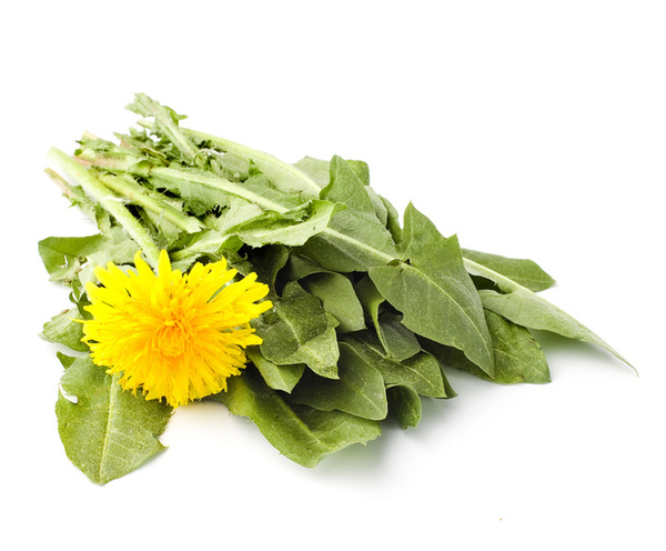 Съедобные сорняки: витамины под ногами