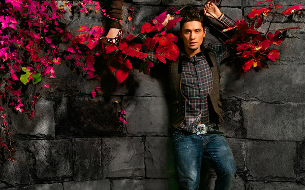 Диму Билана проверяет налоговая полиция