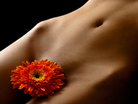 Интимные прически: брить или не брить?