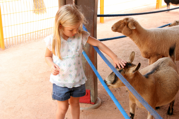 Какие места необходимо посетить с ребенком