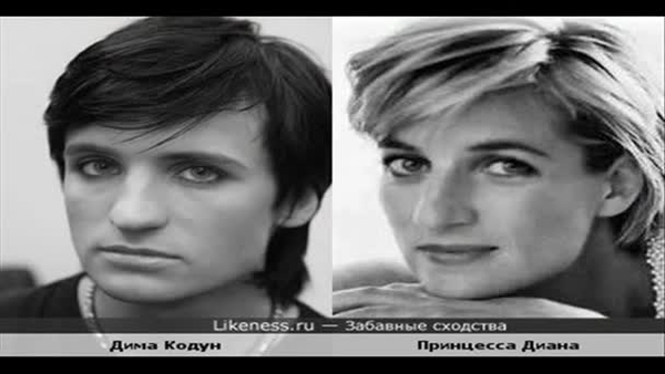 На кого похожи звезды?