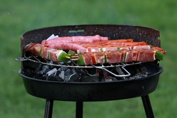 Устройства для приготовления блюд на открытом огне