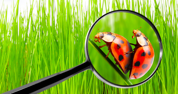 ТОП-10 анекдотов о сексе